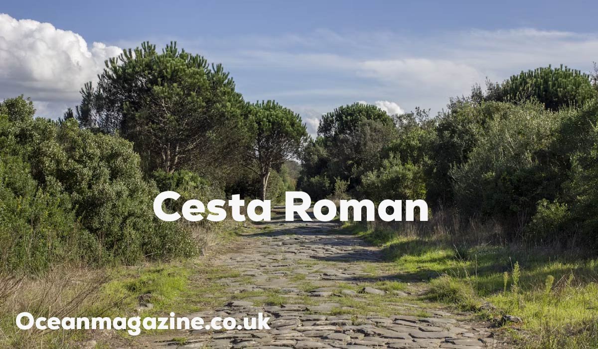 Cesta Roman